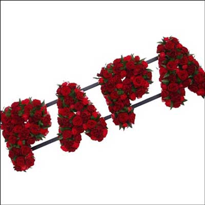 productname